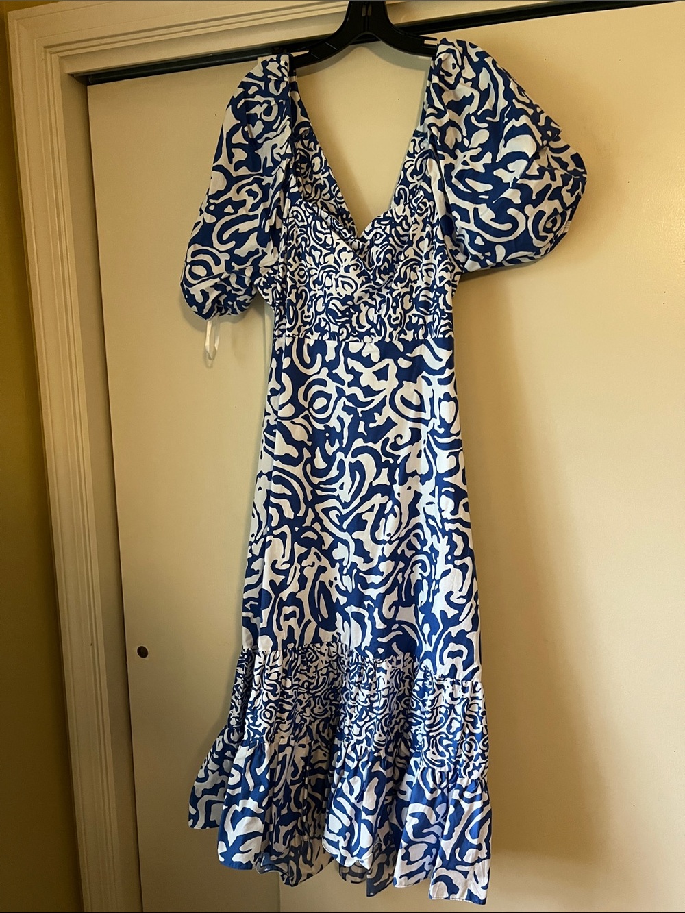 Tanya Taylor Cynthia dress 16
